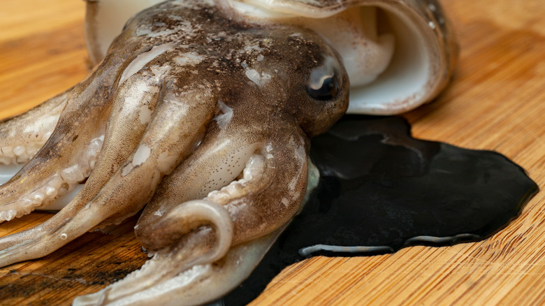 Cuttlefish Ink