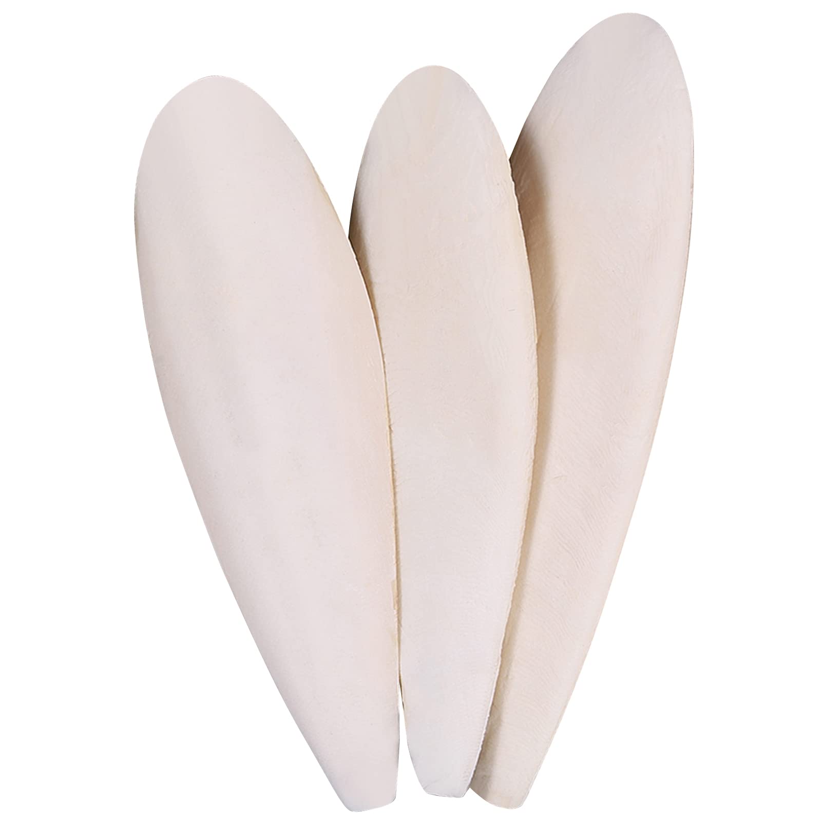 Cuttlefish Bone Polished
