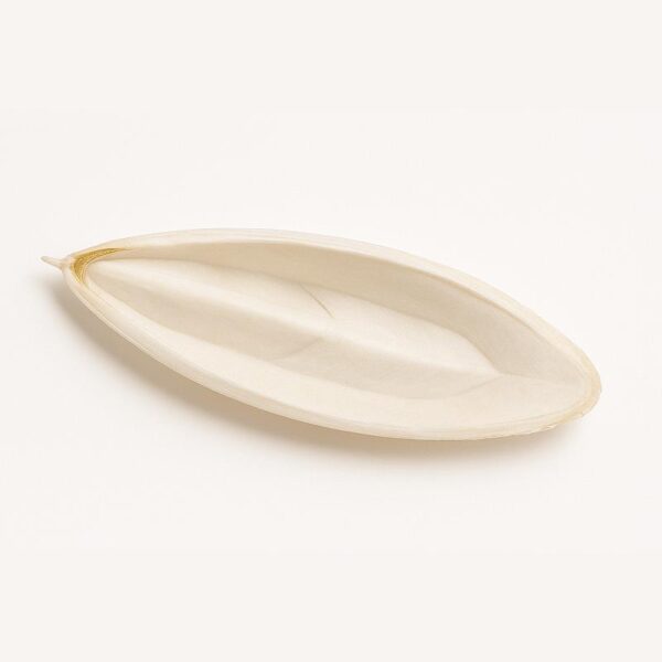 Cuttlefish Bone – Whole (Small / Medium / Large)